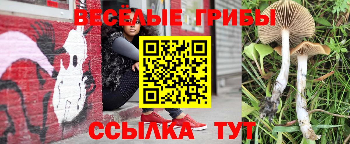Псилоцибиновые грибы прущие грибы Октябрьский